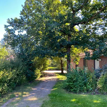 Wiesengeflüster S1 - Mit Sauna, Kamin Und Workation An Der Müritz