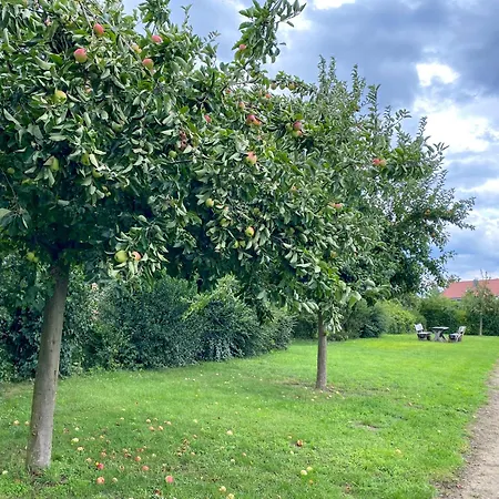 Ferienhaus Wiesengeflüster S1 - Mit Sauna, Kamin Und Workation An Der Müritz Röbel