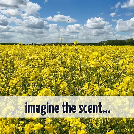 Ferienhaus Wiesengeflüster S1 - Mit Sauna, Kamin Und Workation An Der Müritz Röbel