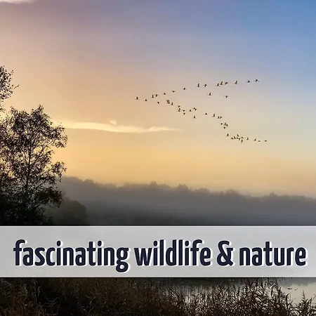 Wiesengeflüster S1 - Mit Sauna, Kamin Und Workation An Der Müritz Röbel