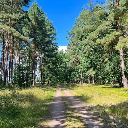 Hébergement de vacances Wiesengefluester S1 - Mit Sauna, Kamin Und Workation An Der Mueritz