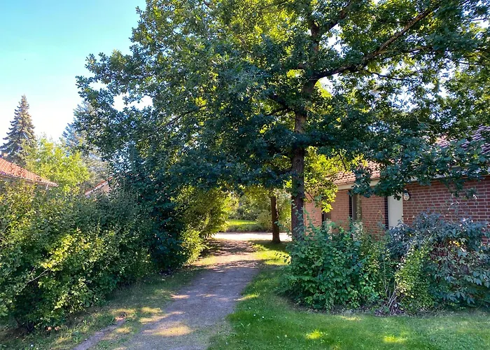 Wiesengeflüster S1 - Mit Sauna, Kamin Und Workation An Der Müritz